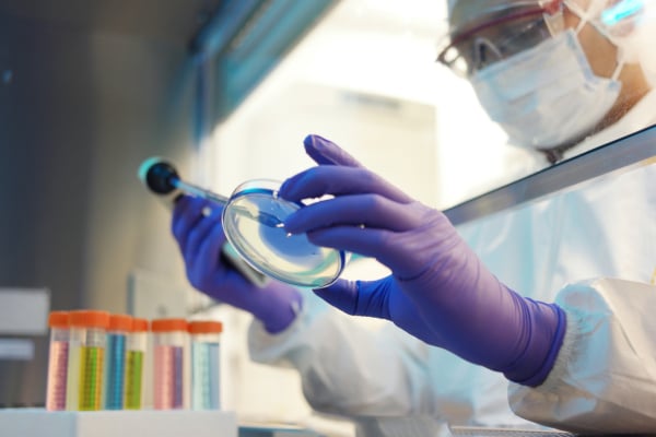 Water chemistry testing, analysis and interpretation