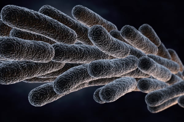 Biocides