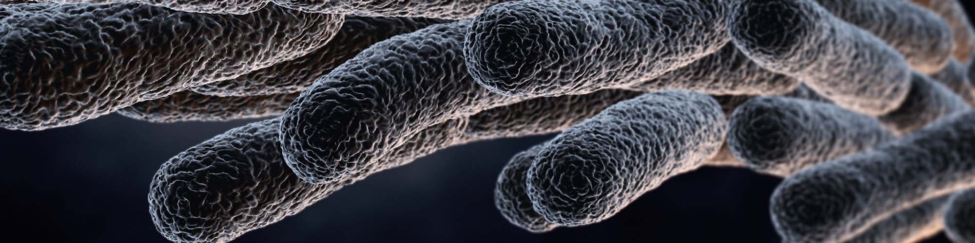 Biocides | Biocide Water Treatment | B & V Chemicals